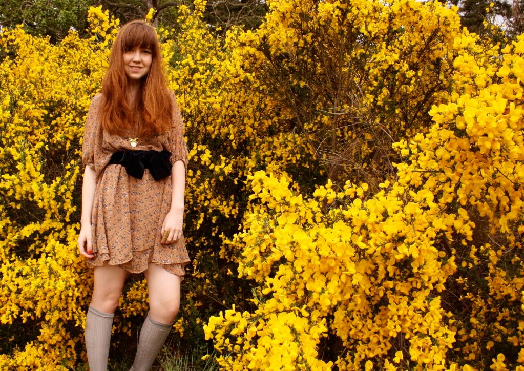 Photographic Memory A Clothes Horse